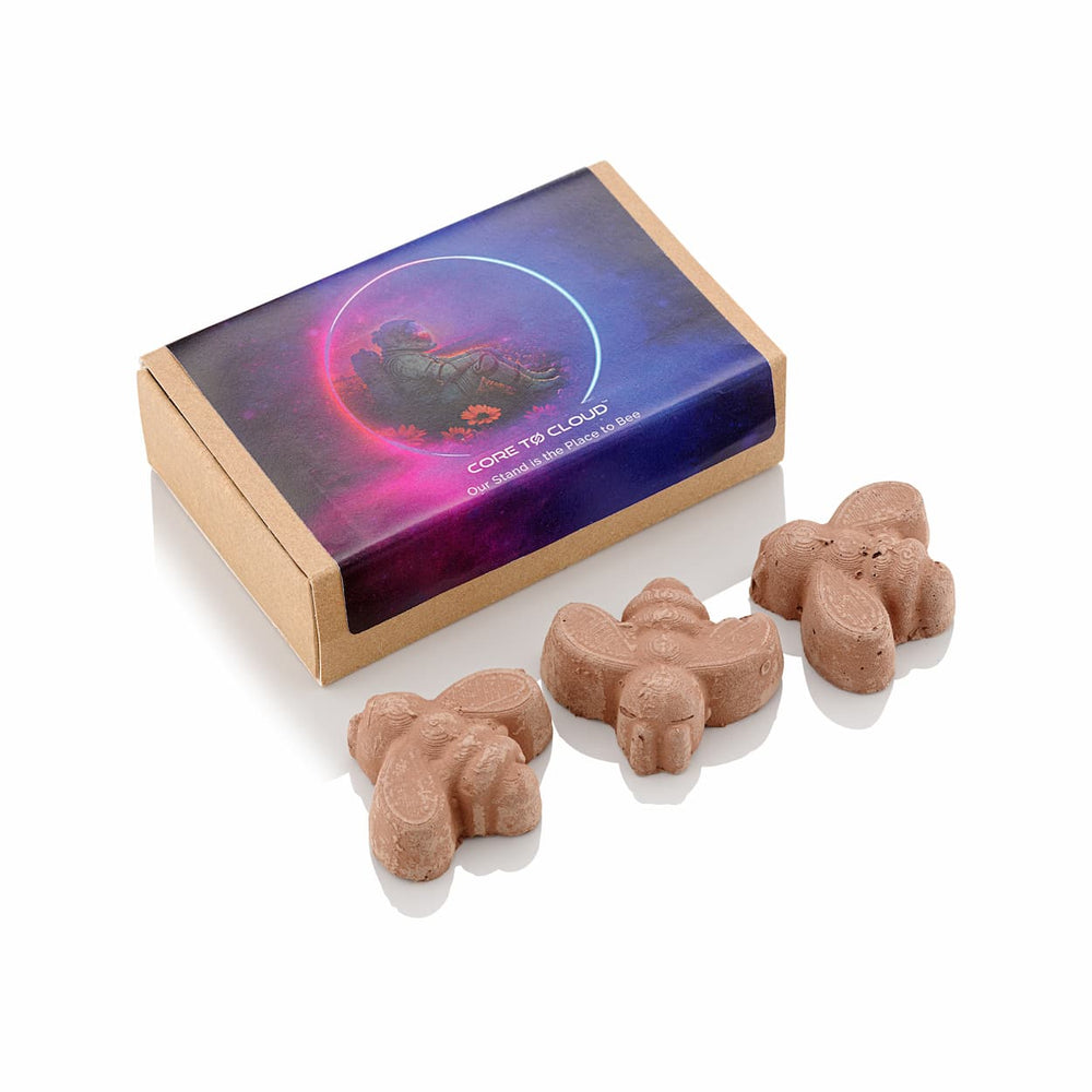 Matchbox of Bee Shaped Seed Bombs