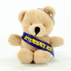 Sash Bear I 10cm Toby Keyring Bear