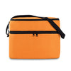 Cooler bag with 2 compartments