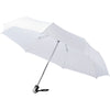 Branded Alex 21.5" foldable auto open/close umbrella