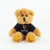 Coloured T-Shirt Bear II 15cm Sparkie Bear