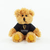 Coloured T-Shirt Bear II