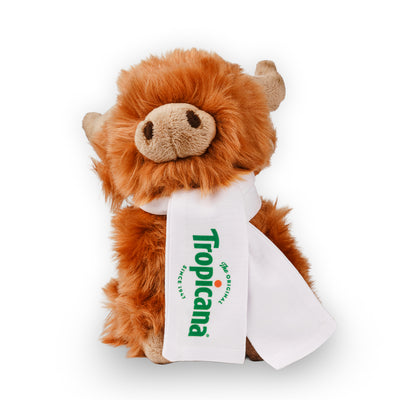 Ravensden Highland cow with Scarf