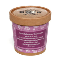 Seed Pot Cup'o Cardboard Pot