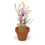 Mini Box Kit Wild Flowers Mix