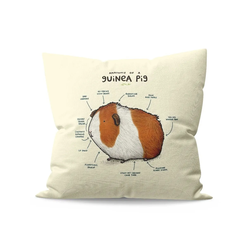 Branded Cushion