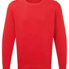 Anthem Organic Sweatshirt