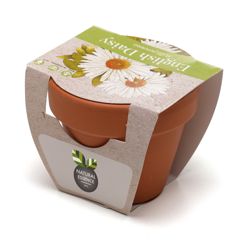 Growing Gift