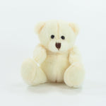 Hi Vis Bear II