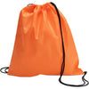 Branded Hammerside Drawstring backpack