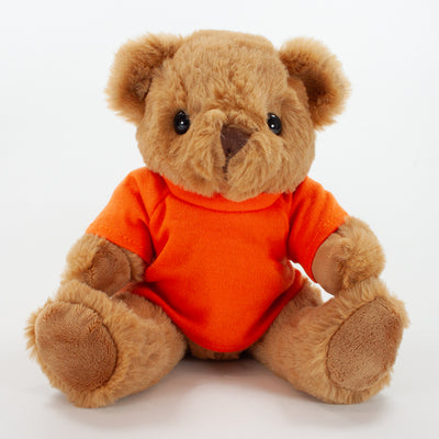 Coloured T-Shirt Bear III