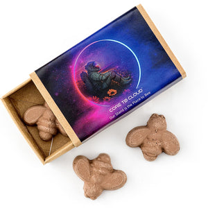 Matchbox of Bee Shaped Seed Bombs