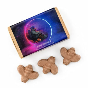 Matchbox of Bee Shaped Seed Bombs