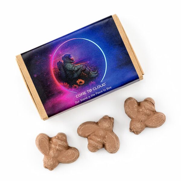 Matchbox of Bee Shaped Seed Bombs