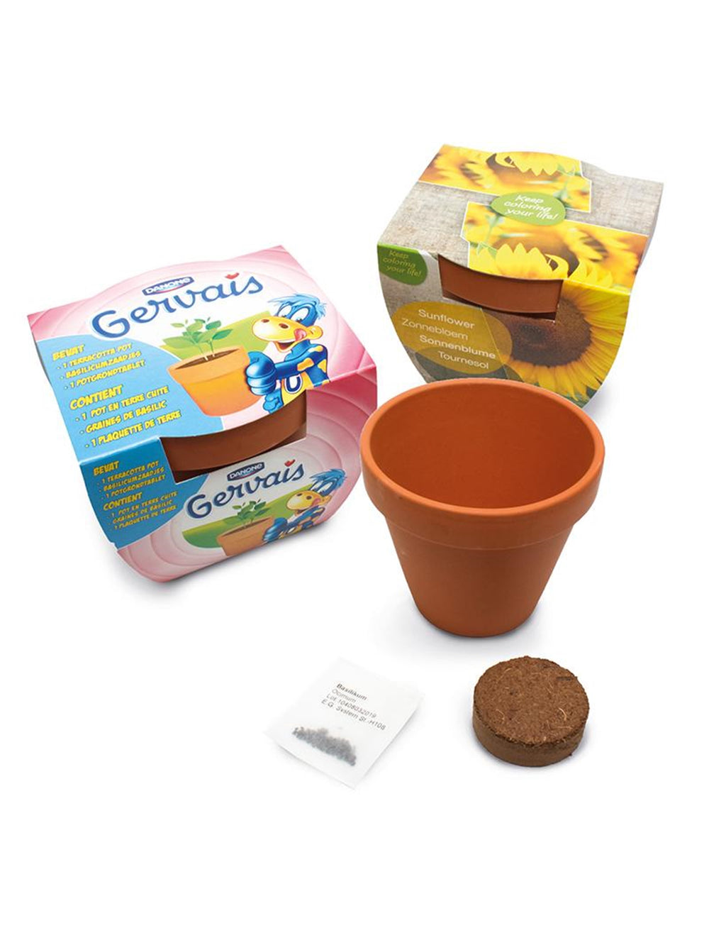 Branded 10cm Terracotta Pot