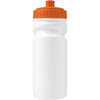 Branded Boundervean Recyclable bottle (500ml)