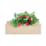 Branded Strawberry kit in wooden crate