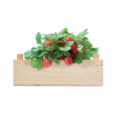 Branded Strawberry kit in wooden crate
