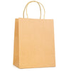 Brunswick Medium Brown Paper Bag with matching paper handles