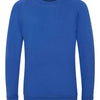 AWDis Academy Kids Raglan Sweatshirt