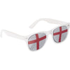 Roydlands Pexiglass sunglasses