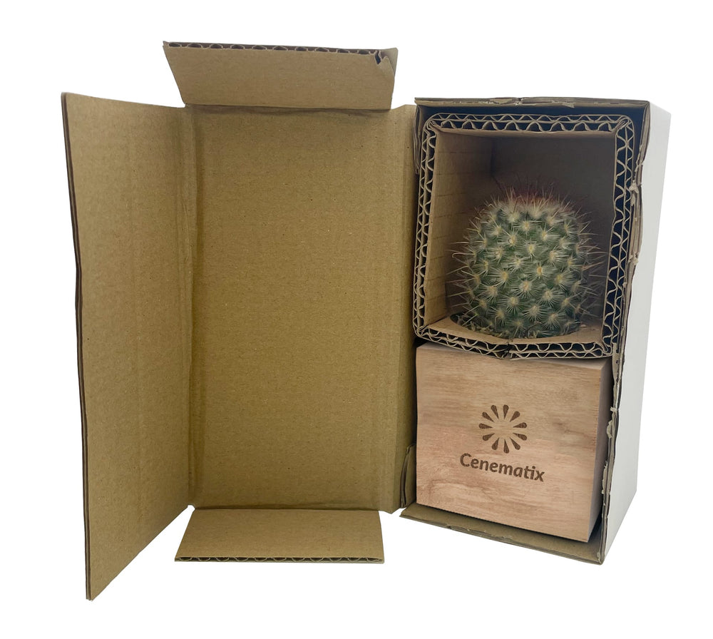 Wooden Cacti