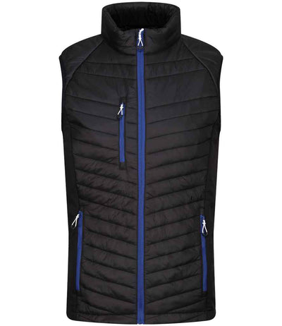 Regatta Navigate Hybrid Bodywarmer Black/New Royal Blue