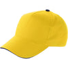 Branded Fennscombe Cap with sandwich peak