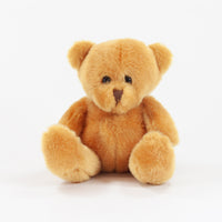 Hi Vis Bear II