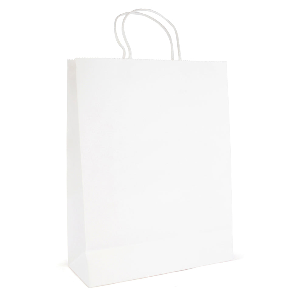 Branded Brunswick Large Paper Bag with matching paper twisted handles