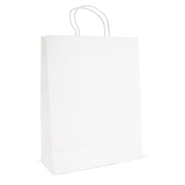 Branded Brunswick Large Paper Bag with matching paper twisted handles