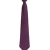 Premier 'Colours' Fashion Clip Tie