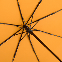 Fare Automatic Open Mini Umbrella