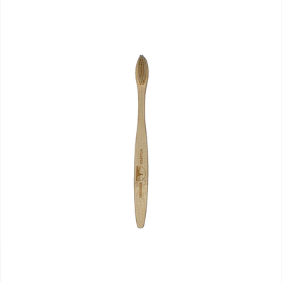 Bamboo Toothbrush with Coloured Bristles