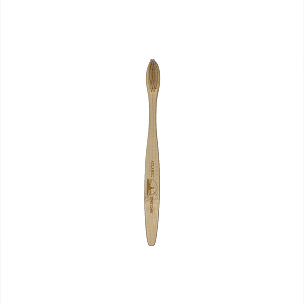 Bamboo Toothbrush with Coloured Bristles