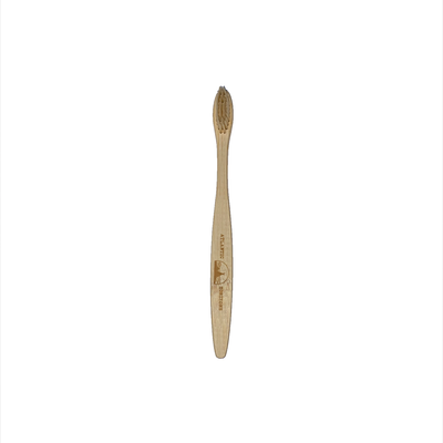 Branded Bamboo Toothbrush with Coloured Bristles