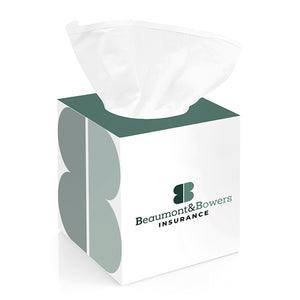 Box of 100 2-Ply White Tissues