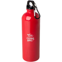 Oregon 750 ml RCS certified single wall stainless steel water bottle with carabiner