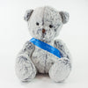 Sash Bear II 25cm Premier Bear, Mulberry