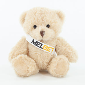 Sash Bear II 20cm Alfie Bear