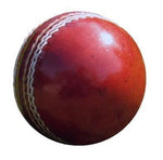 Branded Cricket Ball