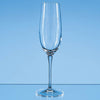 235ml Allegro Champagne Flute