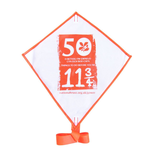 Mini Sky Diamond Kite