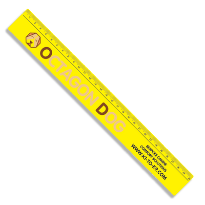 Recycled 30cm Ruler