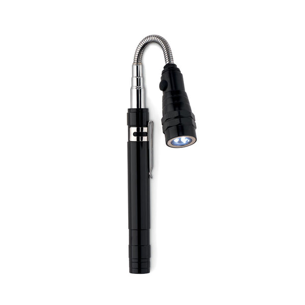 Extendable torch