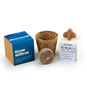 Bee Shaped Wildflower Seed Bomb Kit