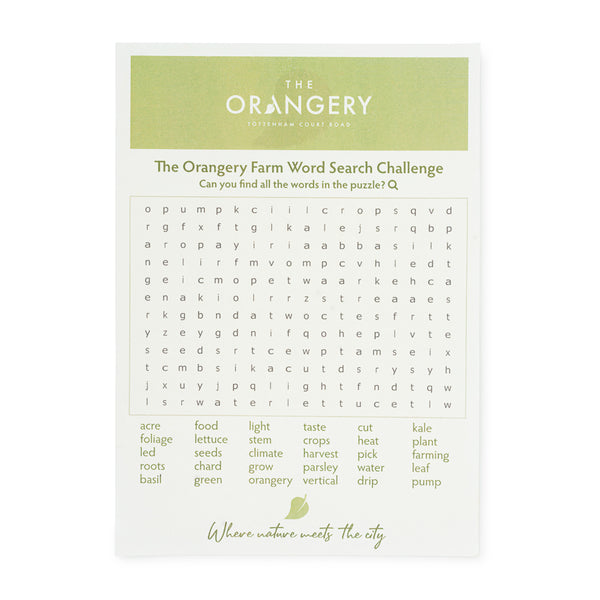 A4 Seed Paper