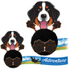 Dog Promo Pals Pals Bernese Mountain Dog