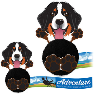 Dog Promo Pals Pals Bernese Mountain Dog