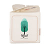 Mini Box Kit Butterfly & Bee Mix